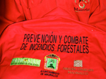 Mexico Report Wildland Firefighting